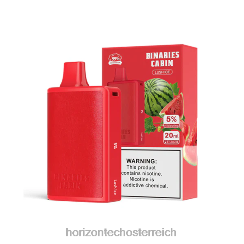 04H4N59 HorizonTech Binaries Cabin Einweg 20mlüppiges Eis